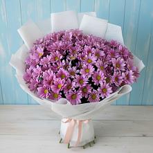 Букет цветов из:  Хризантемы в Захарово Одинцовского района