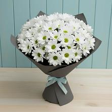 Букет цветов из:  Хризантемы в Захарово Одинцовского района
