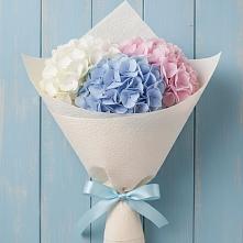 Букет цветов из:  Гортензия в Захарово Одинцовского района