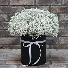 Цветочная композиция из Гипсофила в шляпной коробке в Захарово Одинцовского района